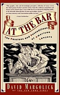 At the Bar: The Passions and Peccadilloes of American Lawyers (Paperback)
