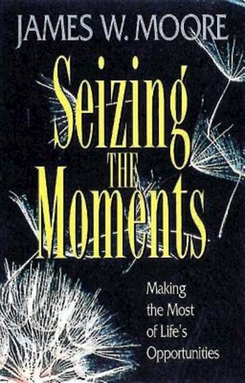 Seizing the Moments (Paperback)