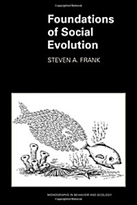 Foundations of Social Evolution (Paperback)