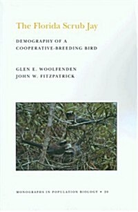 The Florida Scrub Jay (Mpb-20), Volume 20: Demography of a Cooperative-Breeding Bird. (Mpb-20) (Paperback)