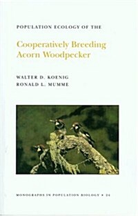 Population Ecology of the Cooperatively Breeding Acorn Woodpecker. (Mpb-24), Volume 24 (Paperback)