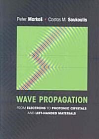 Wave Propagation: From Electrons to Photonic Crystals and Left-Handed Materials (Hardcover)