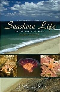 A Photographic Guide to Seashore Life in the North Atlantic: Canada to Cape Cod (Paperback)