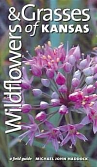 Wildflowers and Grasses of Kansas: A Field Guide (Paperback)