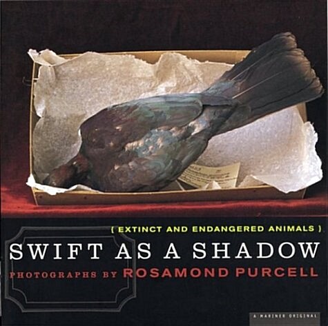Swift as a Shadow (Paperback, 1St Edition)