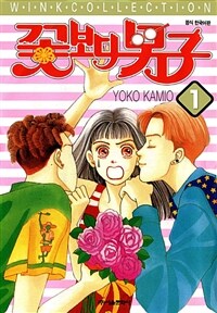 [고화질세트] 꽃보다 남자 (전37권/완결)
