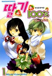 [고화질세트] 딸기 100% (총19권/완결)