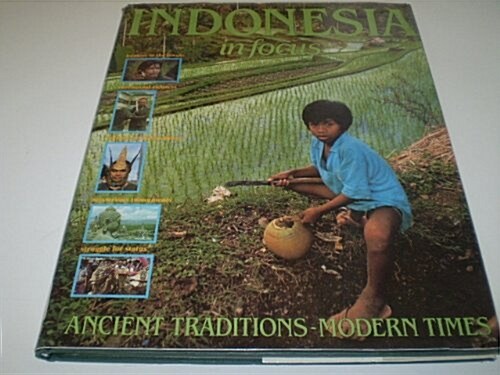 Indonesia in Focus (Hardcover)