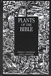Plants of the Bible (Hardcover)