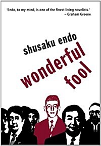 Wonderful Fool (Paperback, 3rd)