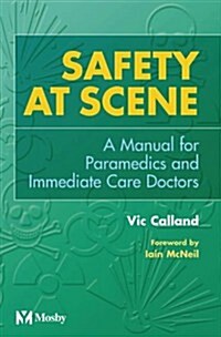 Safety at Scene (Paperback)