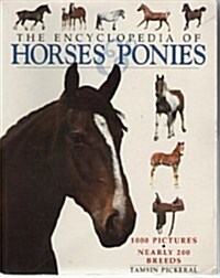 The Encyclopedia of Horses & Ponies (Paperback)