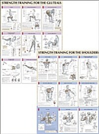 Strength Training Anatomy Charts (Chart, 1st, LAM)