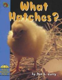 What Hatches (Library)