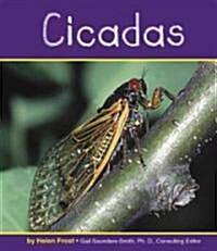 Cicadas (Library)
