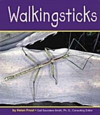 Walkingsticks (Library Binding)