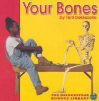 Your bodyYour bones 표지이미지