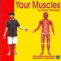 Your muscles 표지이미지