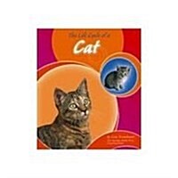 The Life Cycle of a Cat (Paperback)