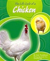 The Life Cycle of a Chicken (Paperback)