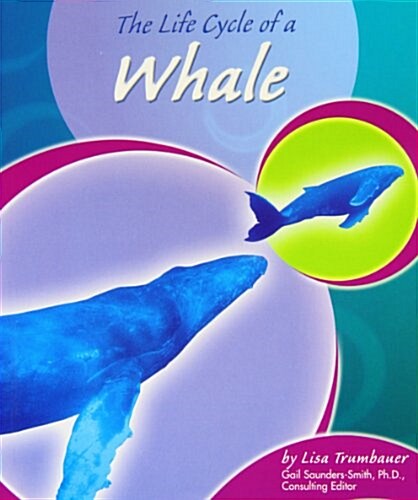 The Life Cycle of a Whale (Paperback)