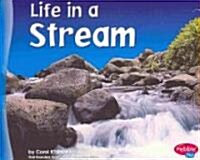 Life in a Stream (Paperback)