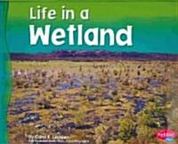 Life in a Wetland (Paperback)