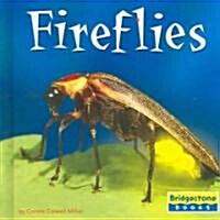 Fireflies (Library Binding)