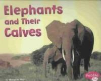 Elephants and Their Calves (Paperback)