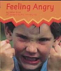 Feeling Angry (Paperback)
