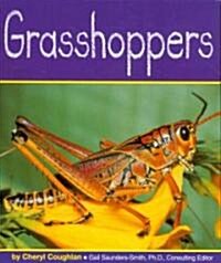 Grasshoppers (Paperback)