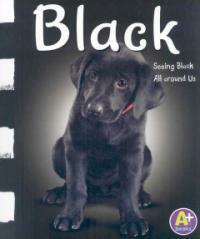 Black: Seeing Black All Around Us (Paperback) - Seeing Black All Around Us