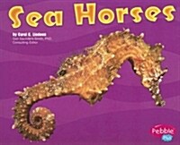 Sea Horses (Paperback)