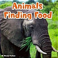 Animals Finding Food (Paperback)