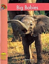 Big Babies (Paperback)