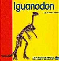 Iguanodon (Paperback)