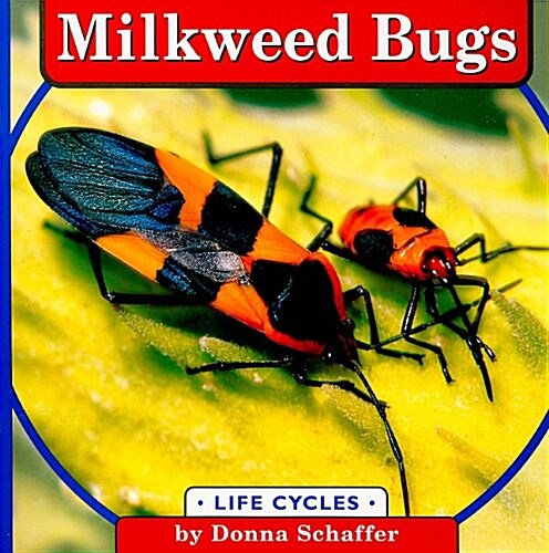 Milkweed Bugs (Paperback)