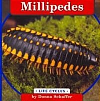 Millipedes (Paperback)