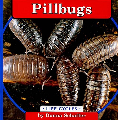 Pillbugs (Paperback)