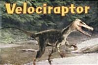 Velociraptor (Paperback)
