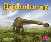 Diplodocus (Paperback)