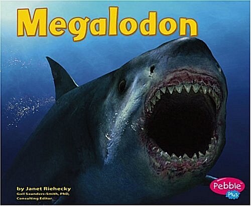 Megalodon (Paperback)