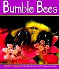 Bumble Bees (Library Binding)