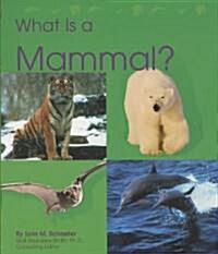 What Is a Mammal? (Paperback)