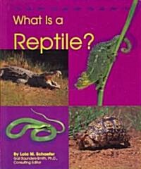 What Is a Reptile? (Paperback)