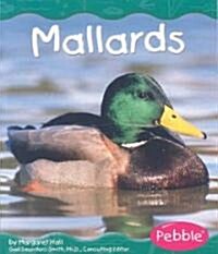 Mallards (Paperback)