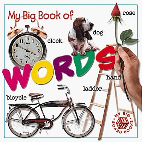 My Big Book of Words (Hardcover)