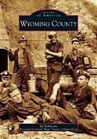 Wyoming County (Paperback)
