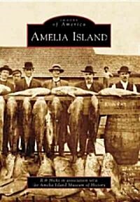 Amelia Island (Paperback)
