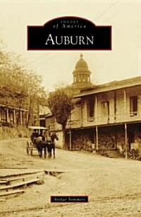 Auburn (Paperback)